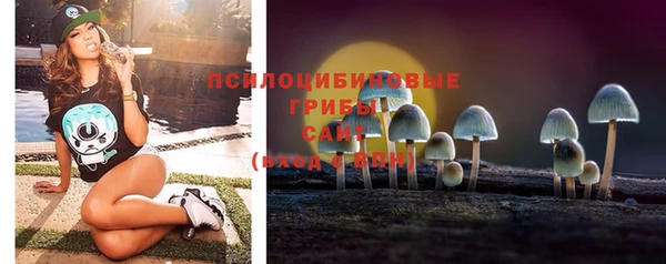PSILOCYBIN Белоозёрский