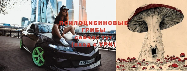 меф Белокуриха