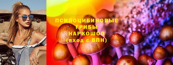 PSILOCYBIN Белоозёрский