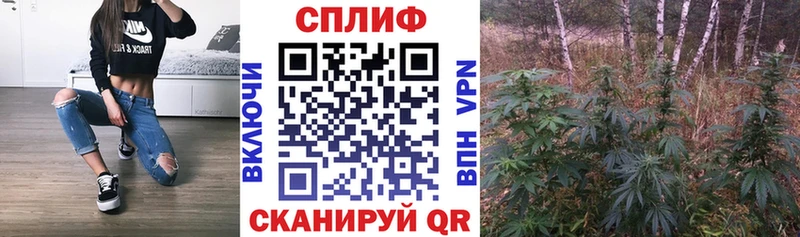 Бошки Шишки семена  Александровское 
